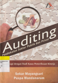 Image of Auditing : Pendekatan Sektor Publik Dan Privat
